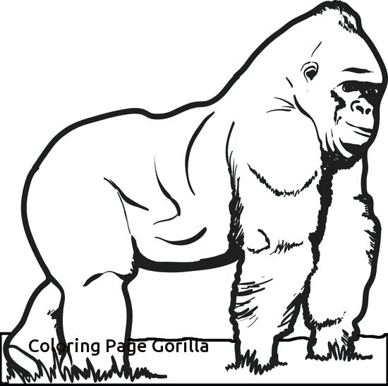 550x547 Magilla Gorilla Coloring Pages Animals Free Printable Pag