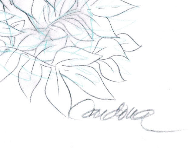 627x492 Simba Amp Timon