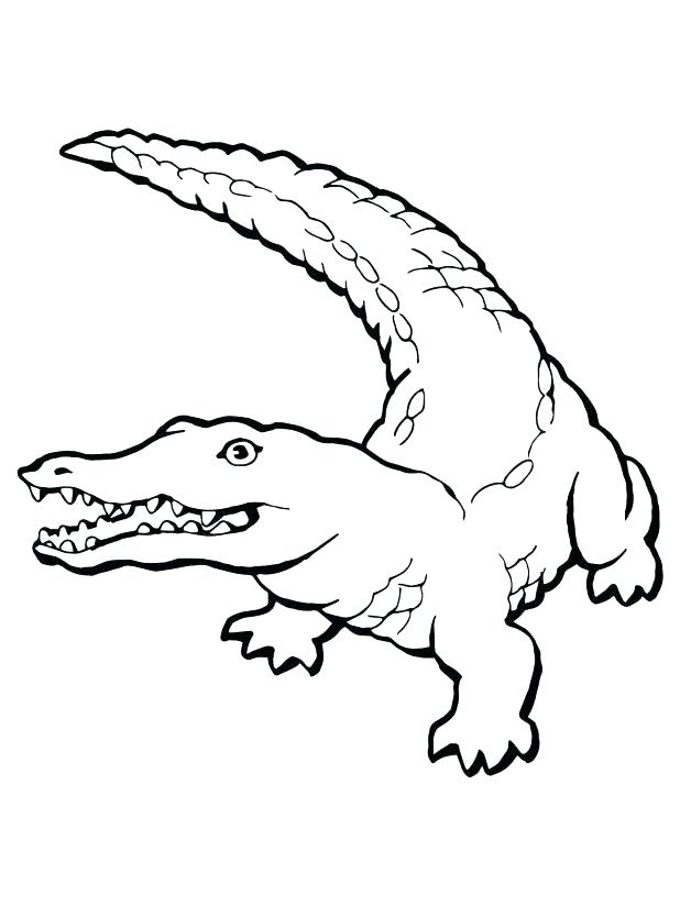 618x824 Cheap Alligator Coloring Pages Online Pictures Vector Of A Cartoon