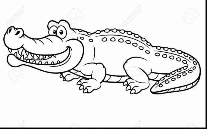 687x429 Coloring Pages Alligator Coloring Pages 2 4620 Page Alligator
