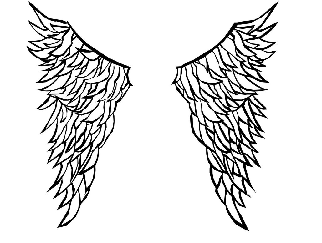 1029x777 Wings Outline By Hav0c13