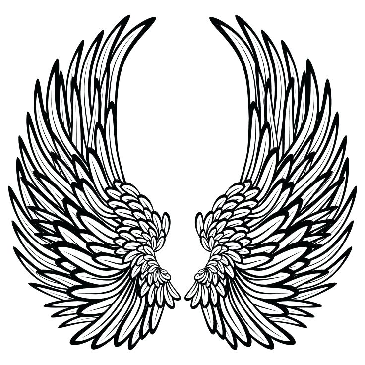 736x736 Angel Wings Pictures Color Pin Colors Wing 2 Coloring Pages Online