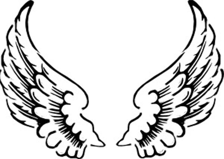 736x524 Angel Wings Clipart