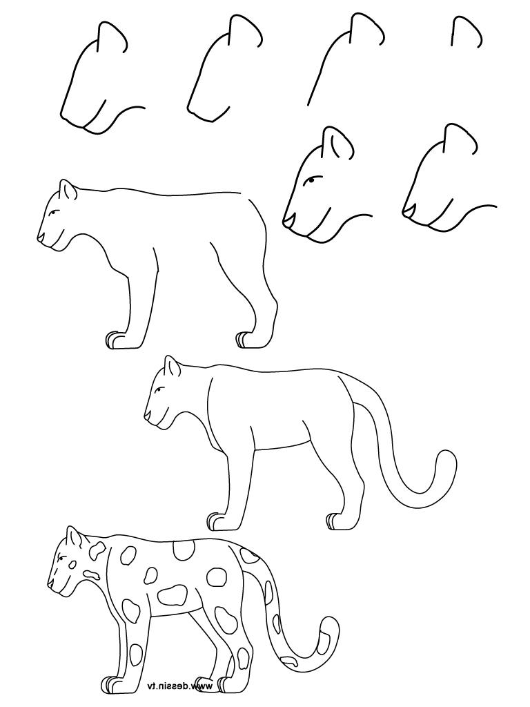 768x1024 Simple Drawing Animals 1000 Images About Animal Drawings For Vbs