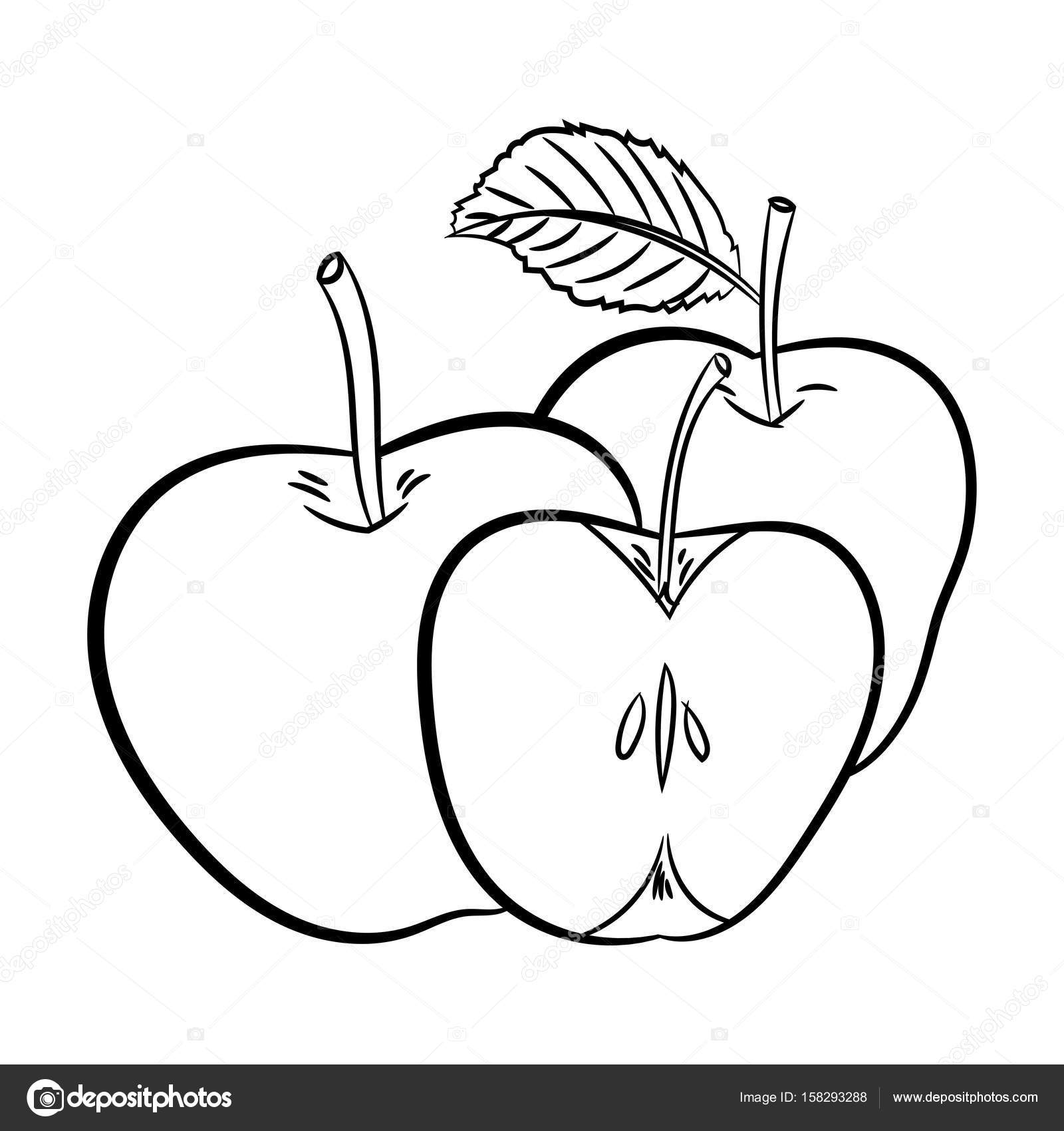 1600x1700 Line Drawing Of Apples Simple Line Vector Stock Vector
