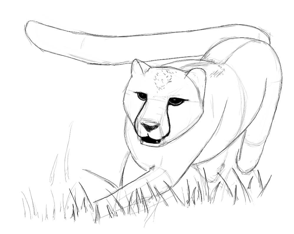 998x795 Simple Baby Face Drawing How To Draw A Baby Face Solution