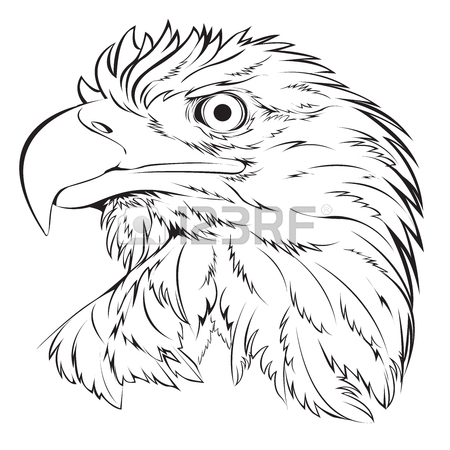 Bald Eagle Easy Drawing at GetDrawings | Free download