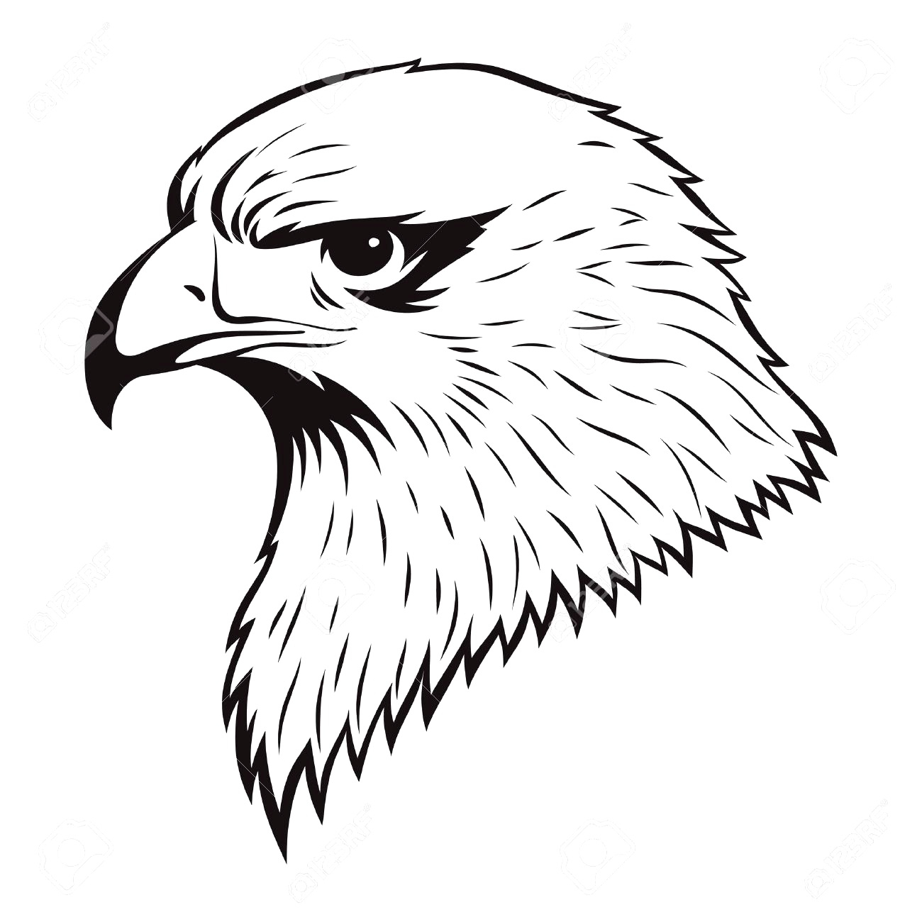 1300x1300 Cool Eagle Simple Drawing Gallery