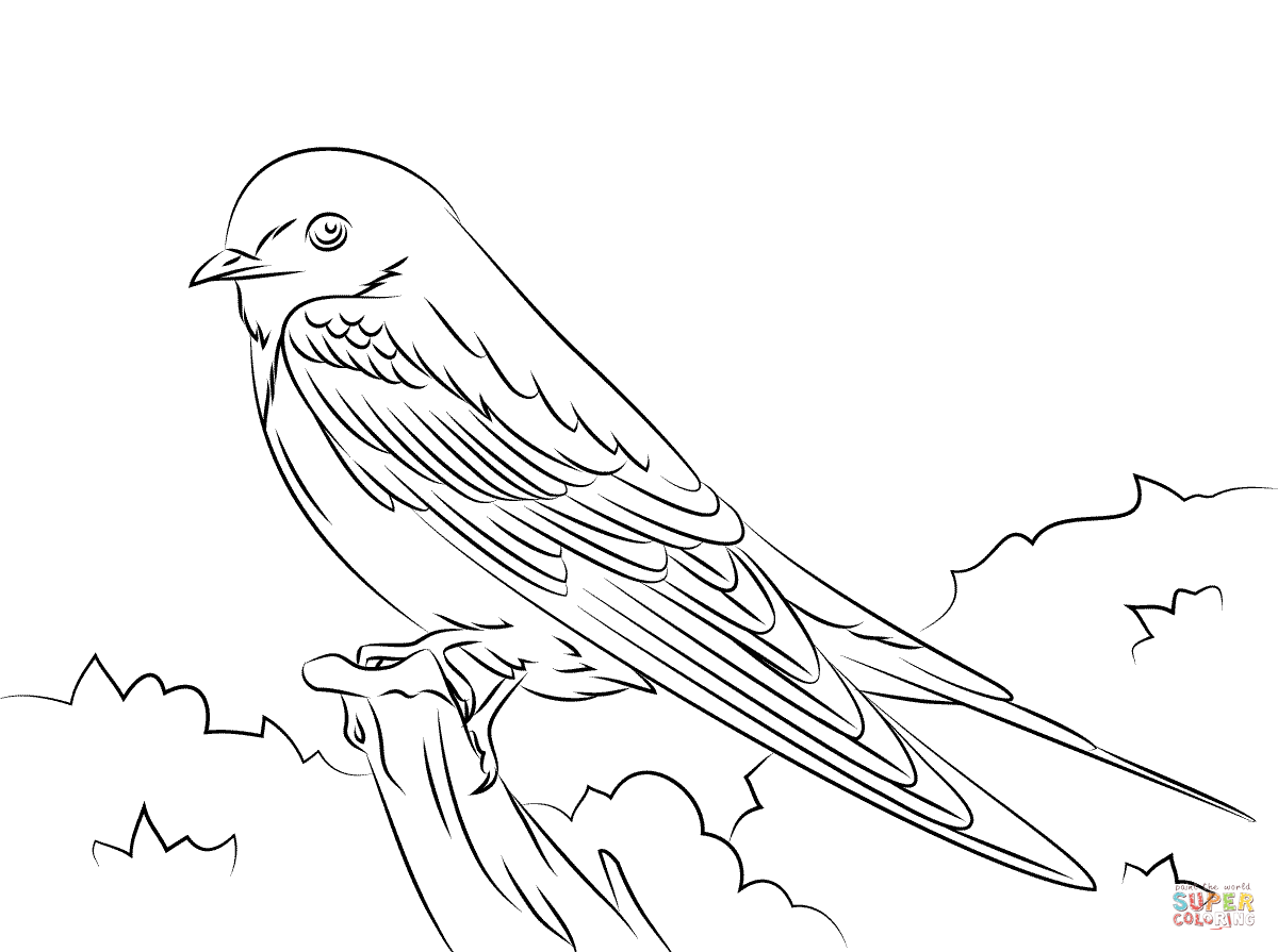 1200x895 Barn Swallow Coloring Page Free Printable Coloring Pages