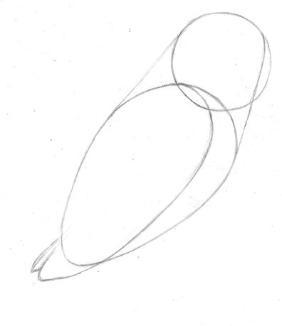 396x459 Barn Owl Simple Drawings Simple Drawings And Drawings