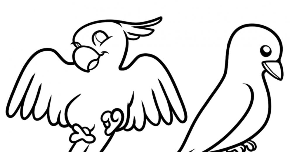 993x521 Simple Bird Drawing For Kids Wallpapers Gallery