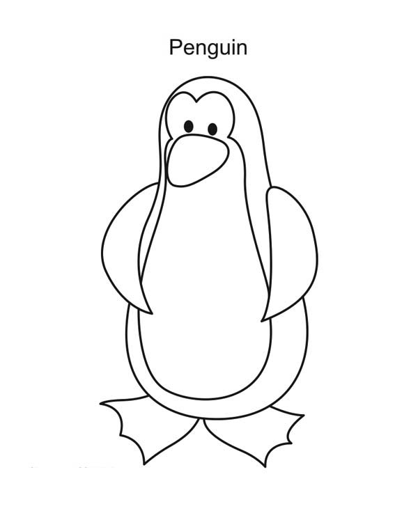600x747 Drawn Penguin Simple