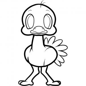 302x302 How To Draw How To Draw An Ostrich For Kids