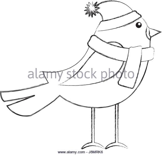 565x540 Bird Line Drawing Stock Photos Amp Bird Line Drawing Stock Images