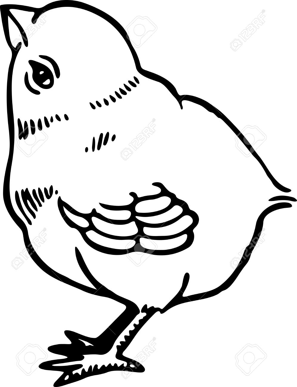997x1300 Simple Black And White Line Drawing Of A Cute Little Chick Stock