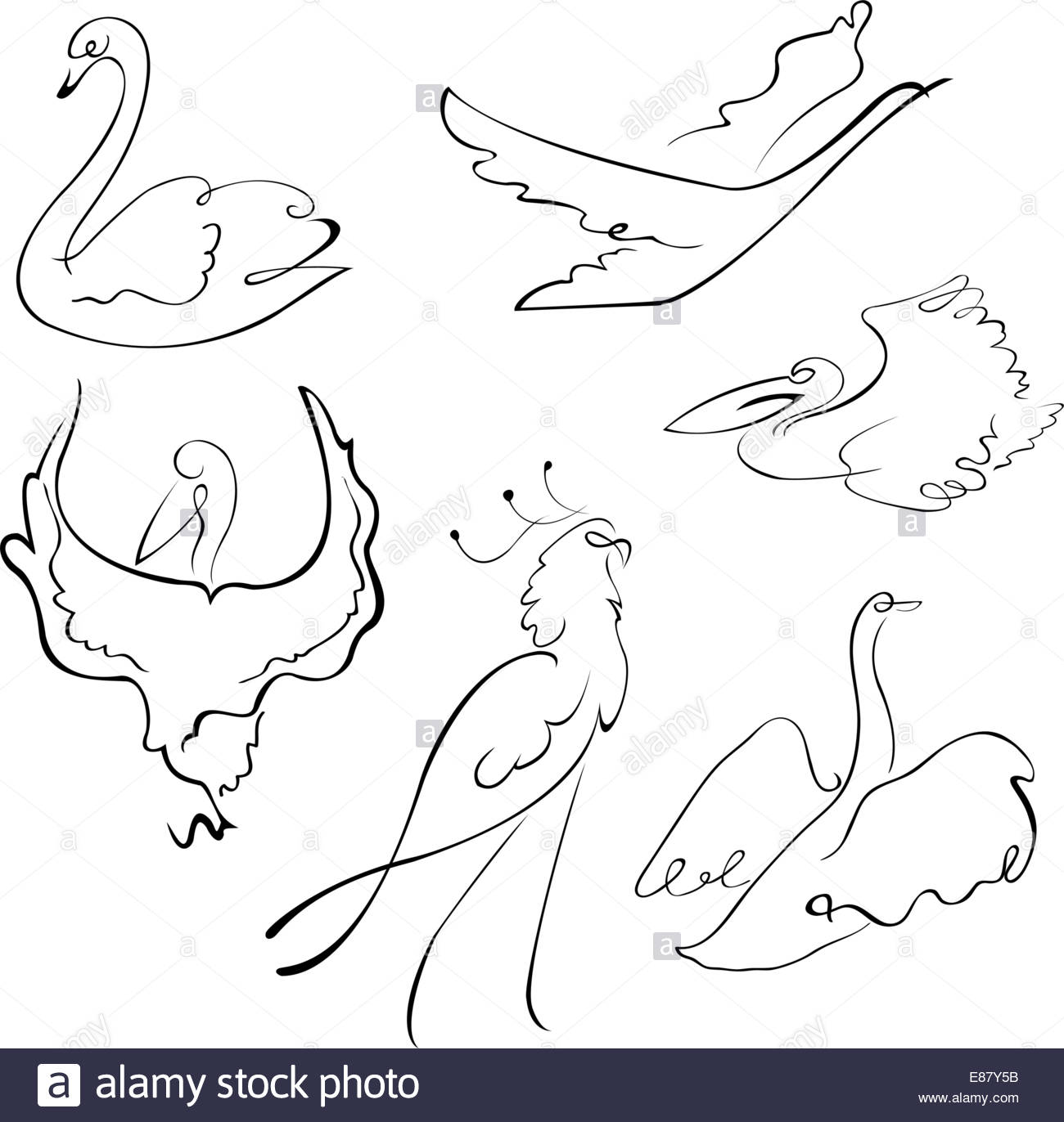 1300x1372 Vector Illustraition Of Birds Design Set Made With Simple Line