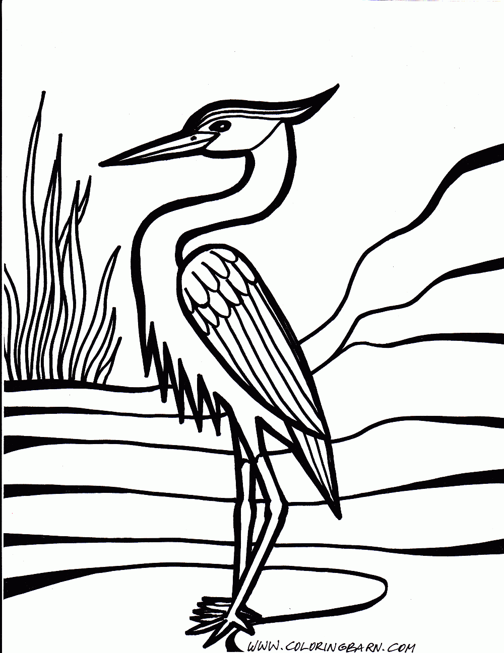 1000x1297 Kranes Coloring Pages Of Birds