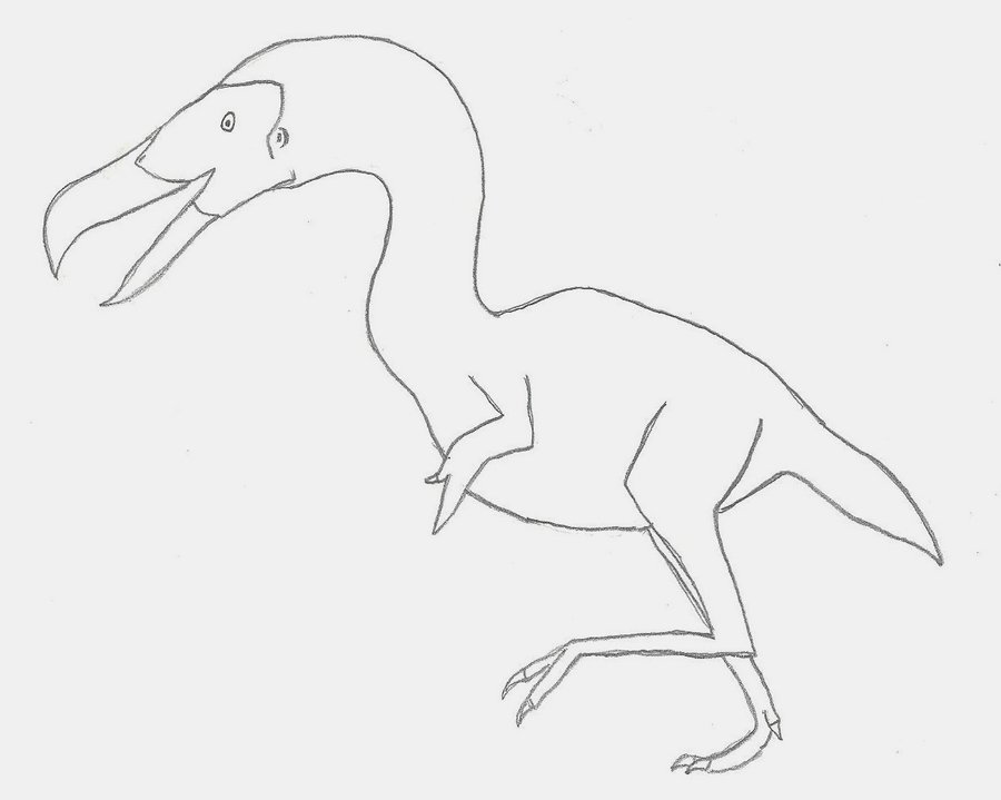 900x719 Simple Bird Outline Many Interesting Cliparts