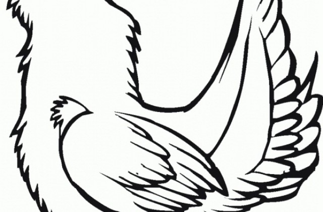 640x420 Tag For Birds Drawing For Kids Bird Coloring Pages For Kids Free