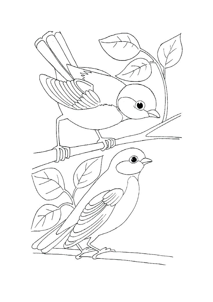 736x1039 Coloring Page Of Birds Trend Bird Coloring Pages Adults