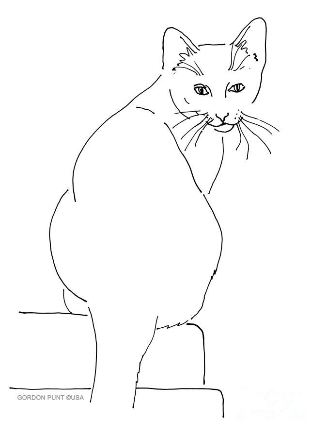 675x900 Line Drawing Vorlagen Cat, Drawings And Embroidery