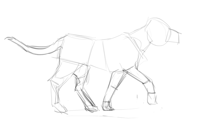 660x423 Your Dog In Motion The Story Elves