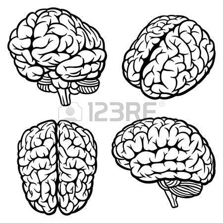 Simple Brain Drawing