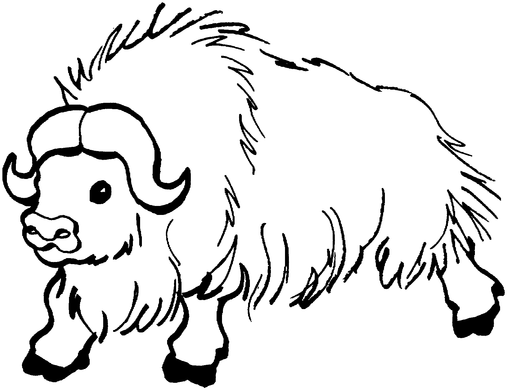 1690x1301 Free Buffalo And Bison Coloring Pages
