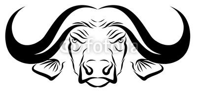 400x187 Gallery Drawings Of Buffaloes Heads,