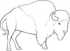 236x171 Free African Buffalo Wallpaper Wallpapers Download Coloring