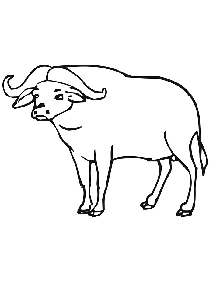 700x933 African Animal Template