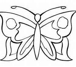 250x220 The Best Simple Butterfly Drawing Ideas On Easy