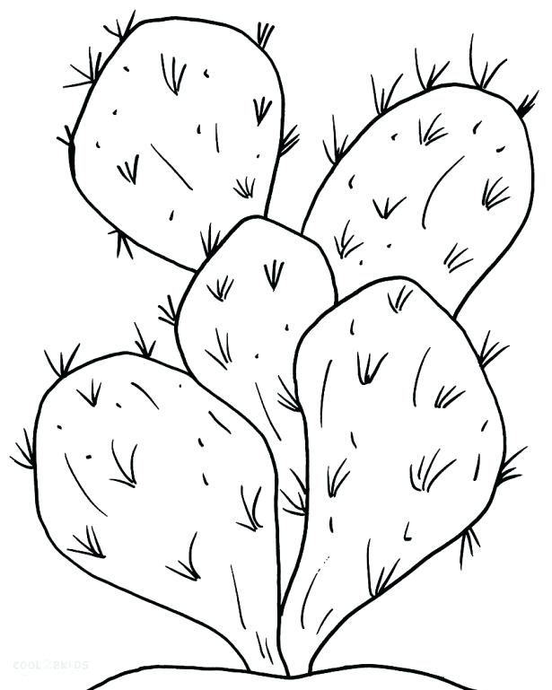 615x769 Cactus Coloring Page