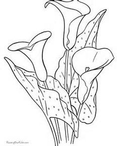 236x288 Calla Lily Coloring Page Free Printable Coloring Pages Dibujos