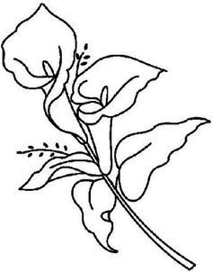 236x302 Outline Sketch Of Calla Lilli Calla Lily Final Step Tattoos