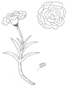 236x299 Draw Flowers Draw Easy Flowers Art Drawing. Rs