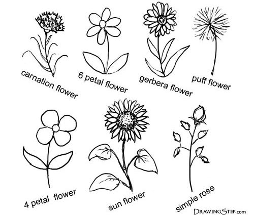 500x425 Simple Drawing Flowers Drawn Floral Easy Pencil And In Color Drawn