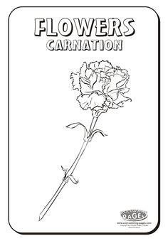 236x339 Carnation Birthday Quick Card Front On Craftsuprint Designed By