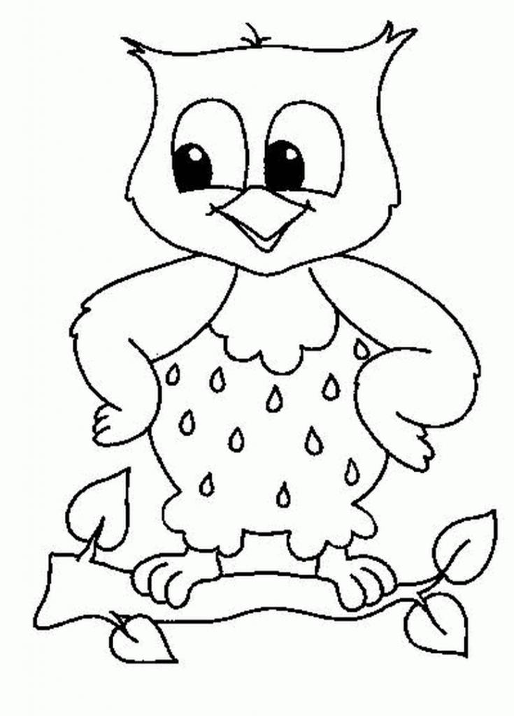 735x1024 Cartoon Owl Picture 546183