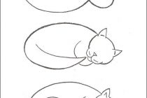 210x140 How To Draw A Cat Easy Best 25 Simple Cat Drawing Ideas