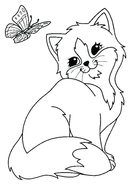 590x800 Simple Cat And Dog Coloring Pages Print Cats Dogs Sheets Kids