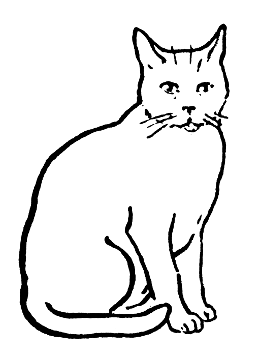 512x700 Simple Clipart Kitten