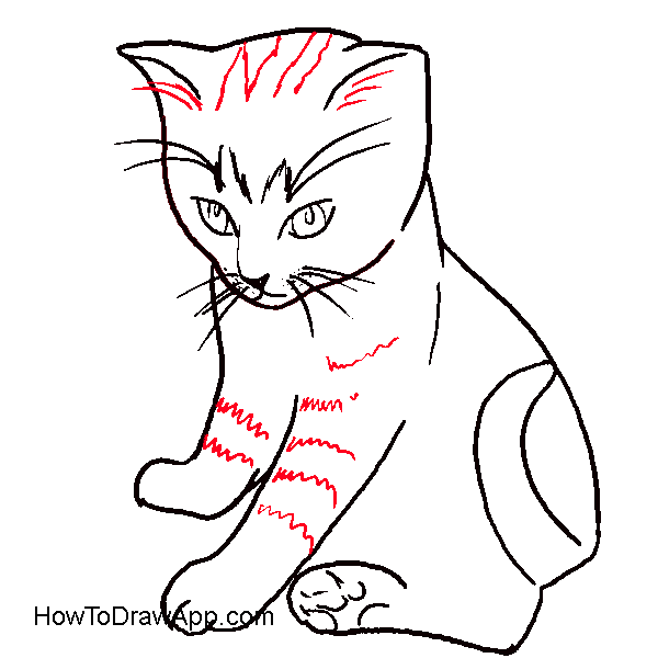 600x600 How To Draw A Cat Sitting Down Step By Step