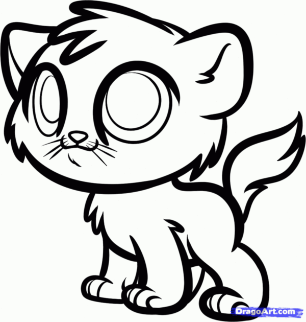 600x630 40 Simple Cat Drawing Examples Anyone Can Try