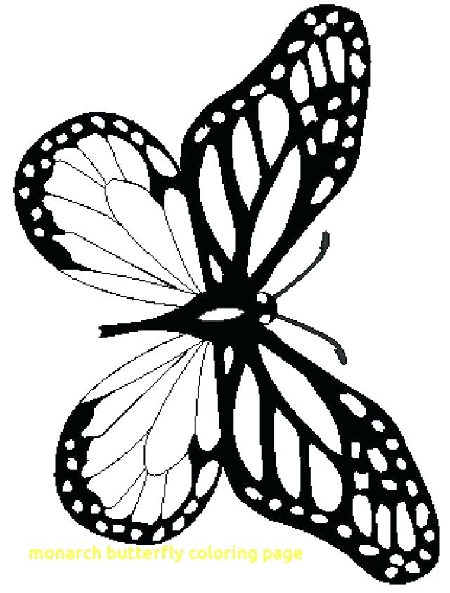 640x844 Simple Monarch Butterfly Coloring Pages Crayola Photo 5 Picture