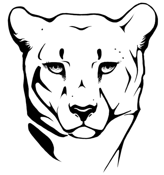 552x590 Cheetah Head Drawing Images Amp Pictures
