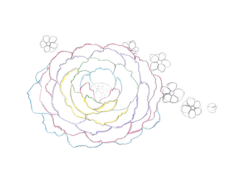 850x610 How To Draw Spring Flowers With Colored Pencils