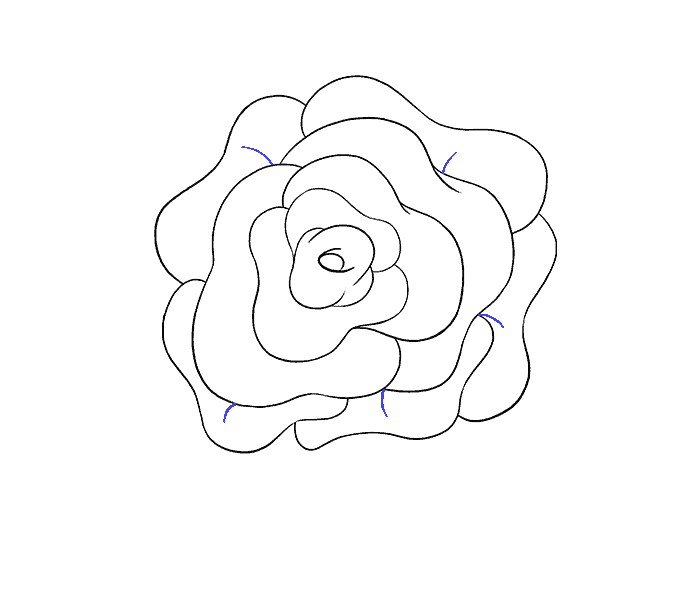 678x600 How To Draw A Rose Flower Easy Drawing Guides