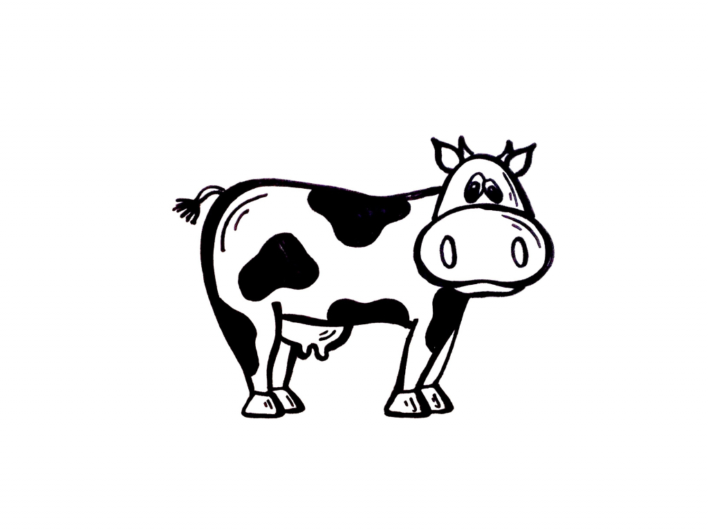 1024x768 Simple Drawing Of Cow Simple Drawing Of A Cow