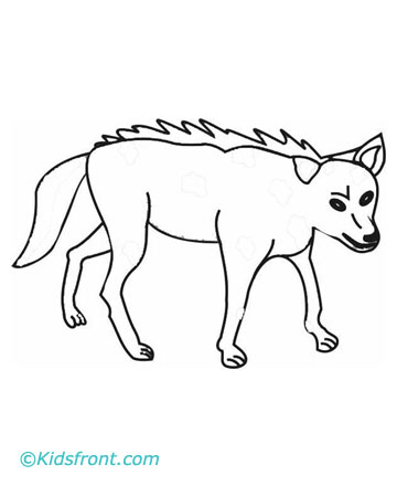 360x440 Coyote Coloring Pages Printable